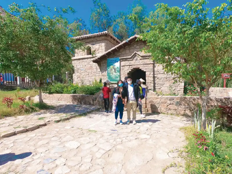 mapi_Mesa de trabajo 1 copia 25